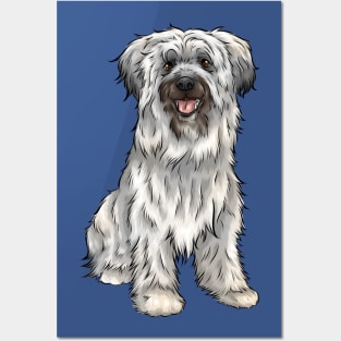 Cute Pyrenean Shepherd Dog | Sheepdog Posters and Art